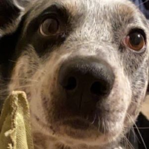 Meet your Posher, Arron